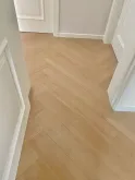 الأنديز