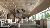القوقاز
