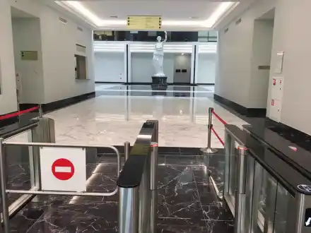 المحكمة الروسية