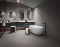 بورتلاند