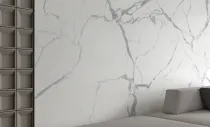 ستاتواريو إكسترا