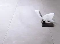 نيزك