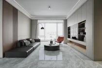 فيينتيان جراي
