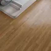 البلوط الأوروبي