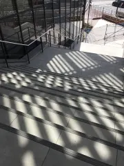 اليابان، طوكيو