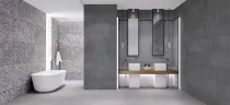 نيزك
