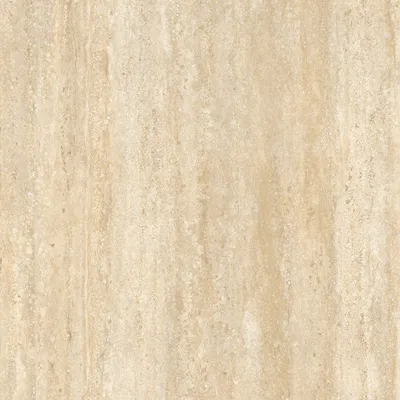 K00606259ZAO