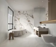 أوستن بيانكو