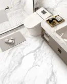 بيرنيني الأبيض