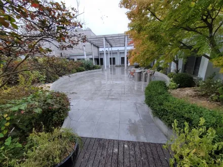 المقر الرئيسي لشركة تكنولوجيا المعلومات Green Roof