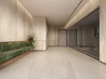 اليشم البلاتيني