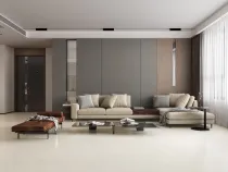 الفضة اللانهائية