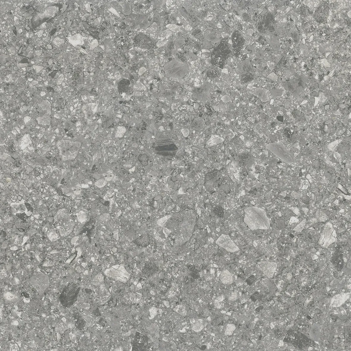 K00606978ZAO رمادي غامق