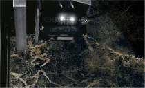 صقلية