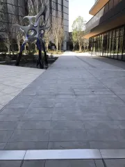 اليابان، طوكيو