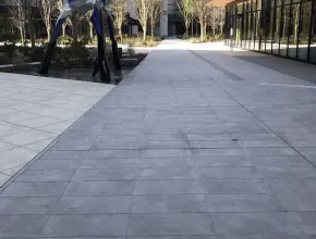 اليابان، طوكيو