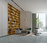 فيينتيان جراي