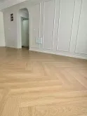 الأنديز