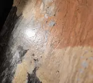 المناظر الطبيعية الذهبية