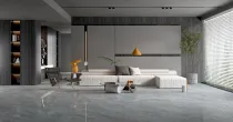 فيينتيان جراي