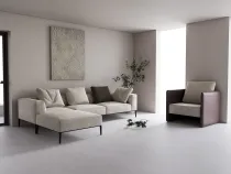 بيكو جراي