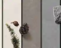 فاليس