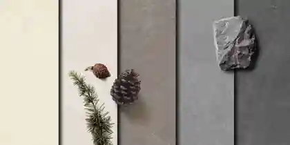 فاليس